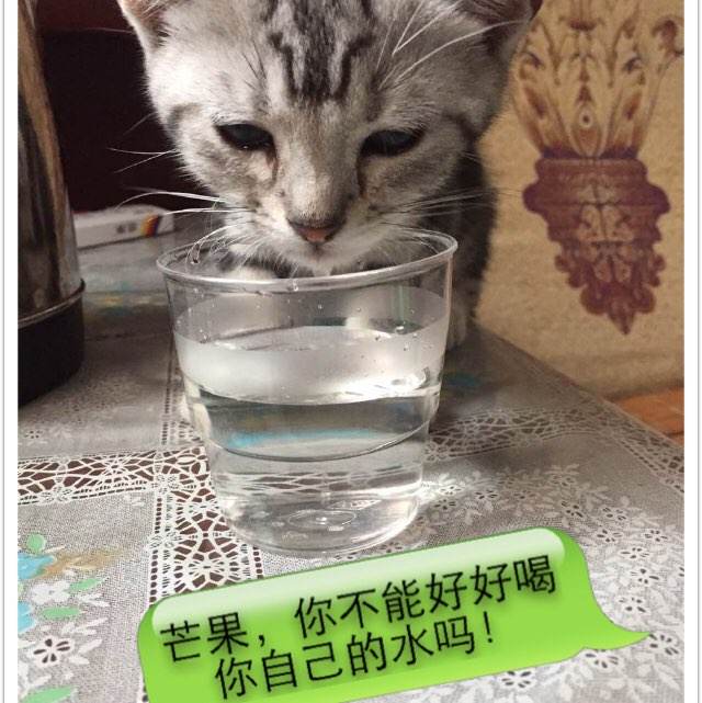 中专毕业证丢了做个假的